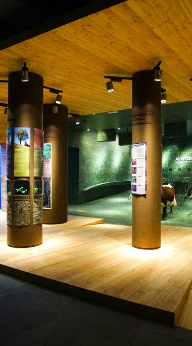 Mountain forest gallery interior view | © Hohe Tauern National Park Center GmbH